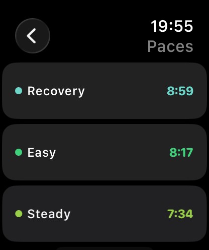 Training paces on the watch: recovery 8:59, easy 8:17, steady 7:34 per kilometre.